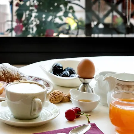 酒店 总统酒店 里米尼