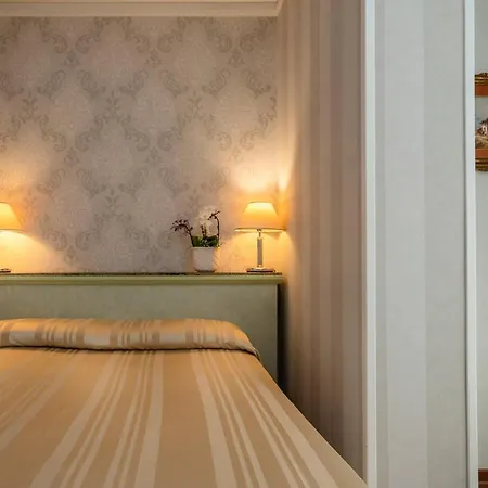 酒店 总统酒店 里米尼