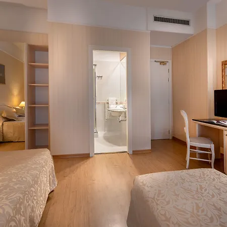 酒店 总统酒店 里米尼